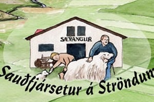 Sheep Museum at Saevangur (Sævangur)